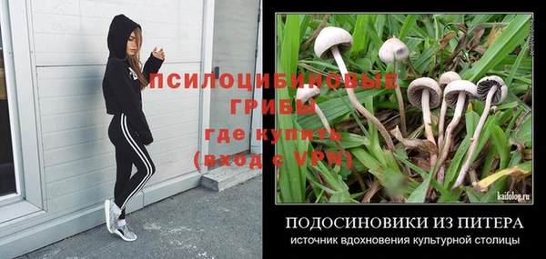 прущая мука Баксан
